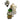 Bubble Pop Custom Name Birthday Balloon Arrangement