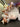 Organic Demi  Balloon Arch