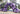 Mega Organic Balloon Arch